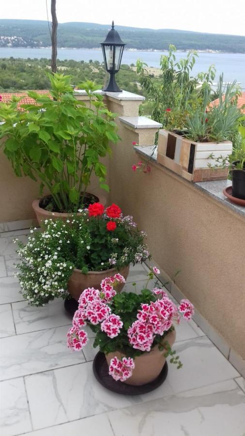 Apartments Villa Marija غورني كارين المظهر الخارجي الصورة